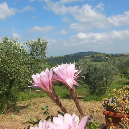 Gasthof Chianti Art *